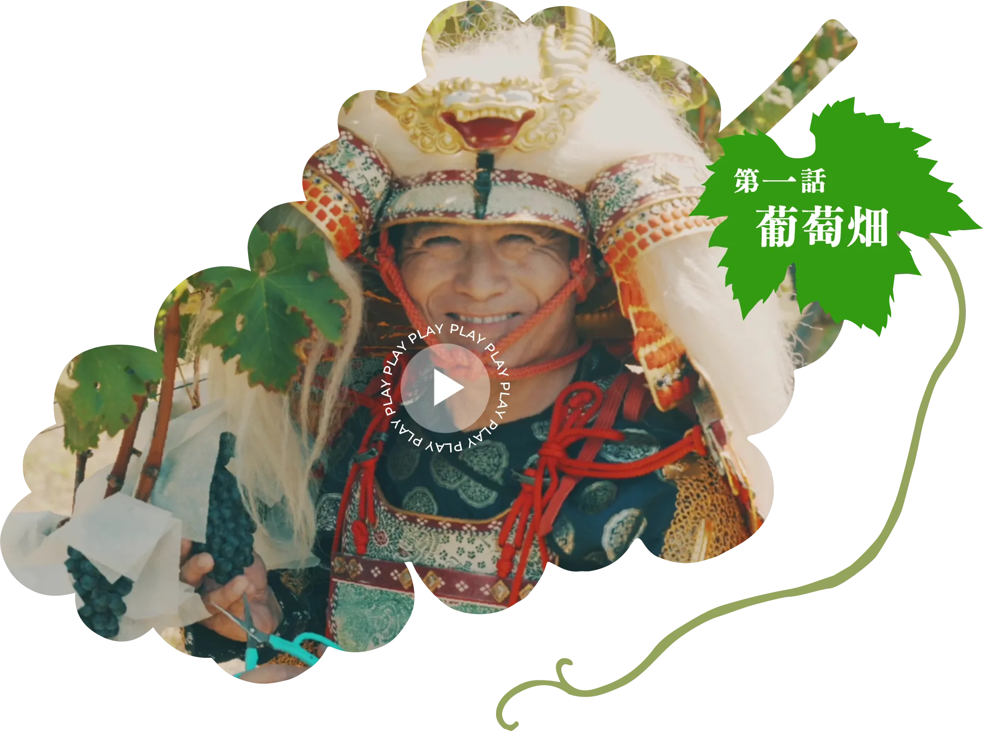 第一話 葡萄畑