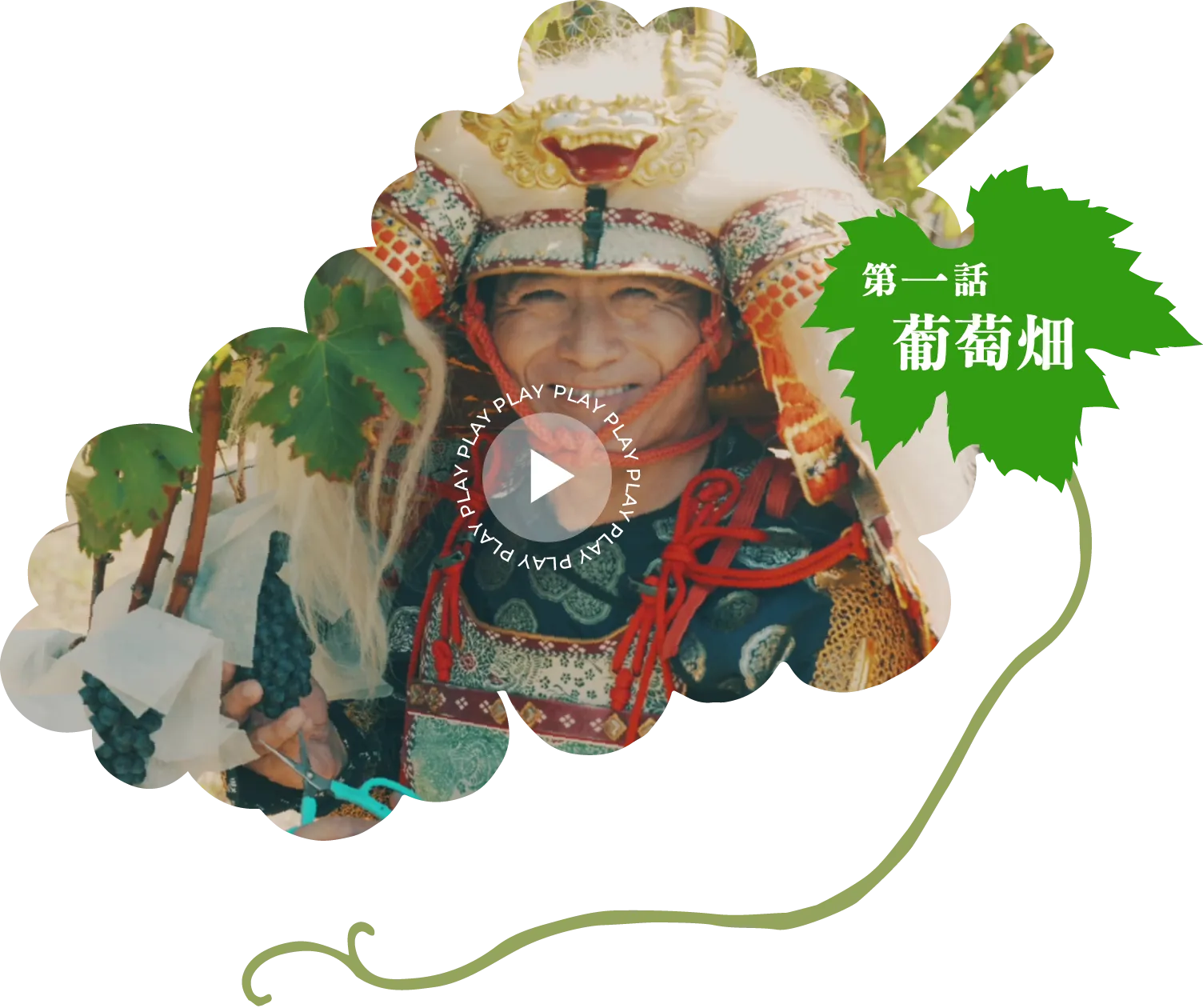 第一話 葡萄畑