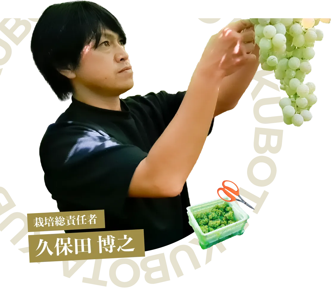 栽培総責任者 久保田 博之