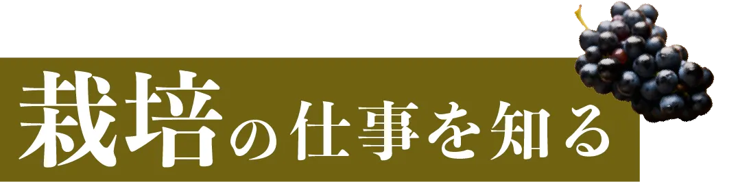 栽培の仕事を知る