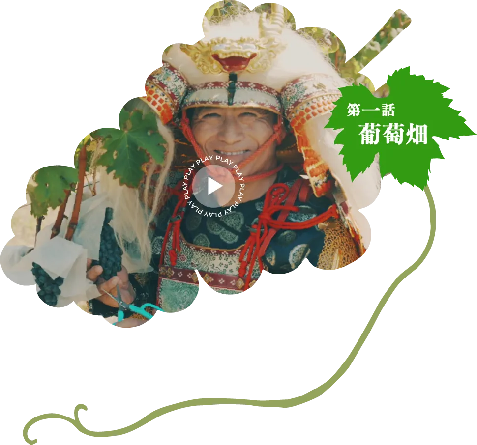 第一話 葡萄畑